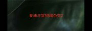 泰迪与雪纳瑞杂交