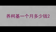 养柯基一个月多少钱