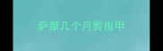 萨摩几个月剪指甲