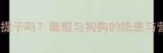 狗狗能吃提子吗葡萄与狗狗的隐患与营养真相