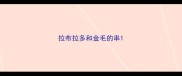 拉布拉多和金毛的串