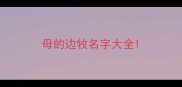 母的边牧名字大全