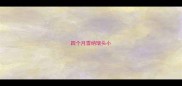 四个月雪纳瑞头小