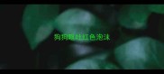 狗狗呕吐红色泡沫