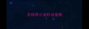 怎样养小龙虾当宠物