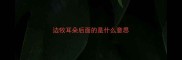 边牧耳朵后面的是什么意思