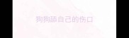 狗狗舔自己的伤口