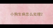 小狗生病怎么处理