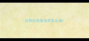 拉布拉多驱虫药怎么滴