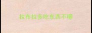 拉布拉多吃东西不嚼