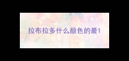 拉布拉多什么颜色的最