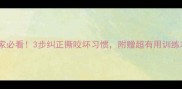 泰迪拆家必看3步纠正撕咬坏习惯附赠超有用训练攻略