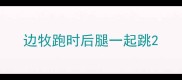 边牧跑时后腿一起跳