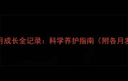 泰迪犬每月成长全记录科学养护指南附各月发育重点