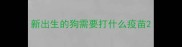新出生的狗需要打什么疫苗