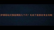 萨摩耶幼犬猴脸期到几个月毛孩子面部发育全攻略