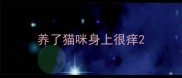 养了猫咪身上很痒