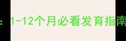 魏玛犬成长全记录1-12个月必看发育指南新手养宠避坑手册
