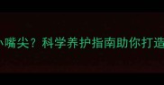 拉布拉多幼犬头小嘴尖科学养护指南助你打造健康活泼的毛孩