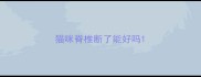 猫咪脊椎断了能好吗
