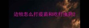 边牧怎么打疫苗和吃打虫药