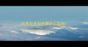 拉布拉多幼犬喂什么区别
