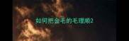 如何把金毛的毛理顺