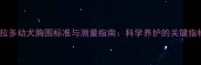 新手必看拉布拉多幼犬胸围标准与测量指南科学养护的关键指标附版数据