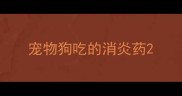宠物狗吃的消炎药
