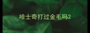 哈士奇打过金毛吗