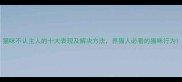 猫咪不认主人的十大表现及解决方法养猫人必看的猫咪行为