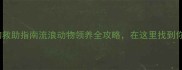 武汉流浪宠物救助指南流浪动物领养全攻略在这里找到你的毛孩子