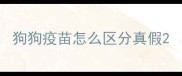 狗狗疫苗怎么区分真假