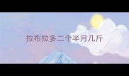拉布拉多二个半月几斤