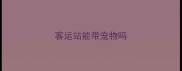 客运站能带宠物吗