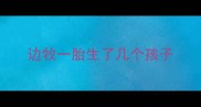 边牧一胎生了几个孩子