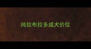 纯拉布拉多成犬价位