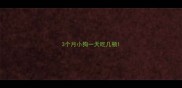 3个月小狗一天吃几顿