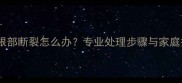 猫咪指甲根部断裂怎么办专业处理步骤与家庭护理指南