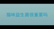 猫咪益生菌很重要吗