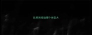 比熊和泰迪哪个体型大