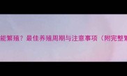 慈鲷鱼多久能繁殖最佳养殖周期与注意事项附完整繁殖指南