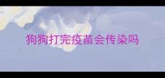 狗狗打完疫苗会传染吗
