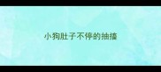 小狗肚子不停的抽搐