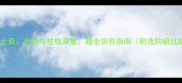 红毛哈士奇毛色与性格双重超全饲养指南附选购避坑贴士