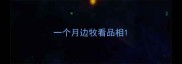 一个月边牧看品相