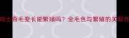 哈士奇毛变长能繁殖吗全毛色与繁殖的关联性