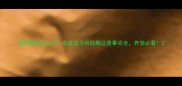 狗狗疫苗怎么打疫苗成分有效期注意事项全养宠必看