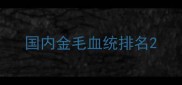 国内金毛血统排名