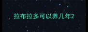 拉布拉多可以养几年
